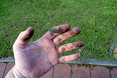 Dirty hands after the bicycle chain had to be put back on the sprocket wheel