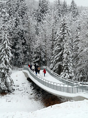 Walking in a winter wonderland