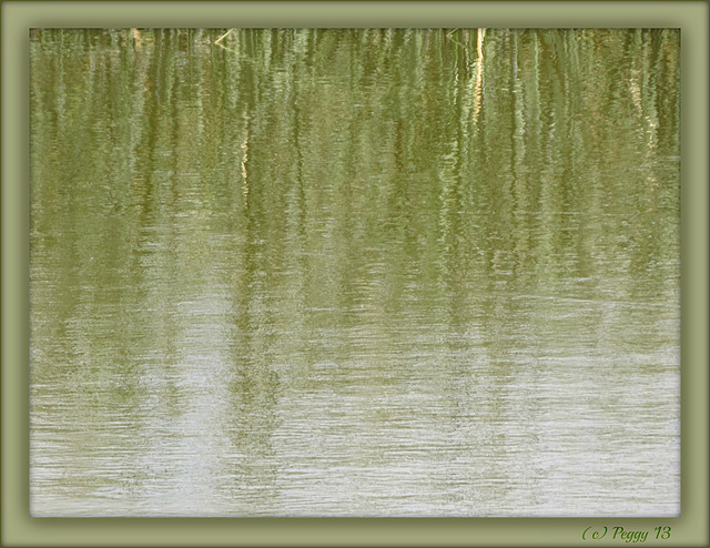 .. reflections - similar to previous photo - 'Monet' reflections in water --