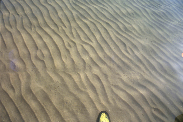 Ripples in Lake Mead