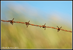 Rusty barbed wire and Bokeh