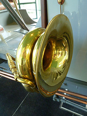 Big horn
