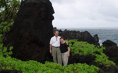 Hawaii, 2006
