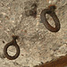 Rings in an old German bunker