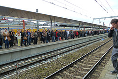 Busy platform at Utrecht Central Station