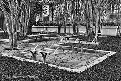 Benches in black and white