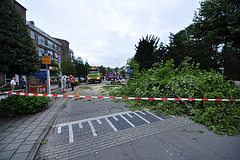 Fallen-down tree – Fire department at work