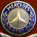 Techno Classica 2013 – Mercedes-Benz logo on a 319 van