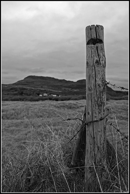 Fence Post view
