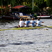 Rowing on the Rhine