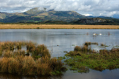 View from the Cob at Porthmadog
