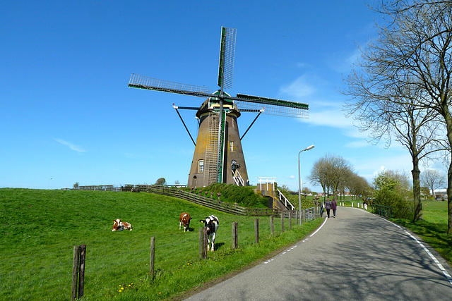 Greetings from Holland