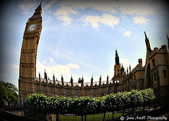 Fish-eye view of parliament :))