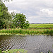 Dutch landscape panorama