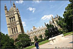 Palace of Westminster (5)