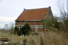 Zeeuws-Vlaanderen – Abandoned house