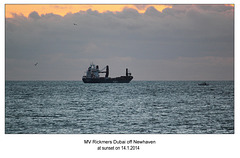 MV Rickmers Dubai - Newhaven - 14.1.2014