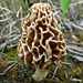 The Morel of the story is ...