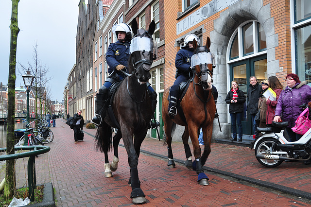 Eviction of squatters out of a building in Leiden – Police on horseback