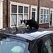 Cat caught trying to steal a Fiat 500