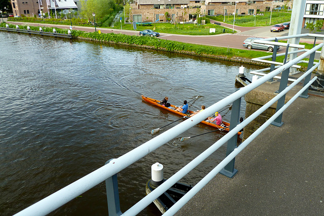 Rowing on the Zijl