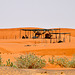Dubai 2012 – Camels