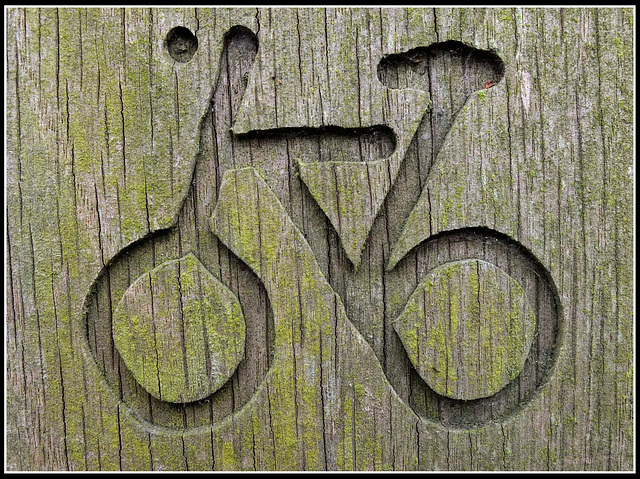 Bicycle - colour version