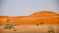 Dubai 2012 – Red desert