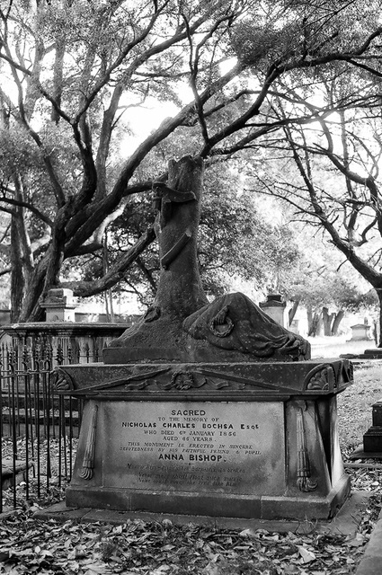 Bochsa tomb, Camperdown.