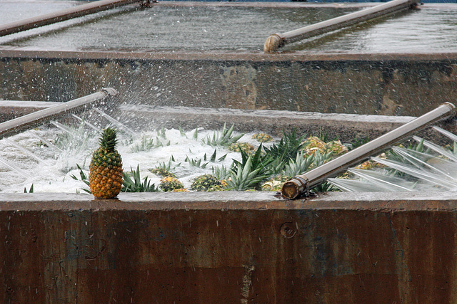 Pineapple bath