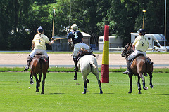 14. Polo in 12 seconds
