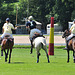 14. Polo in 12 seconds