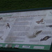 Information board at Kenwith Valley Reserve