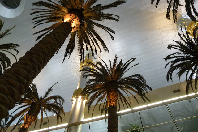 Dubai 2012 – Dubai airport