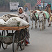 Five minutes in Agra 3