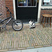 Enkhuizen – Bike, cat and stool