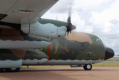 7T-WHE C-130H Algerian Air Force