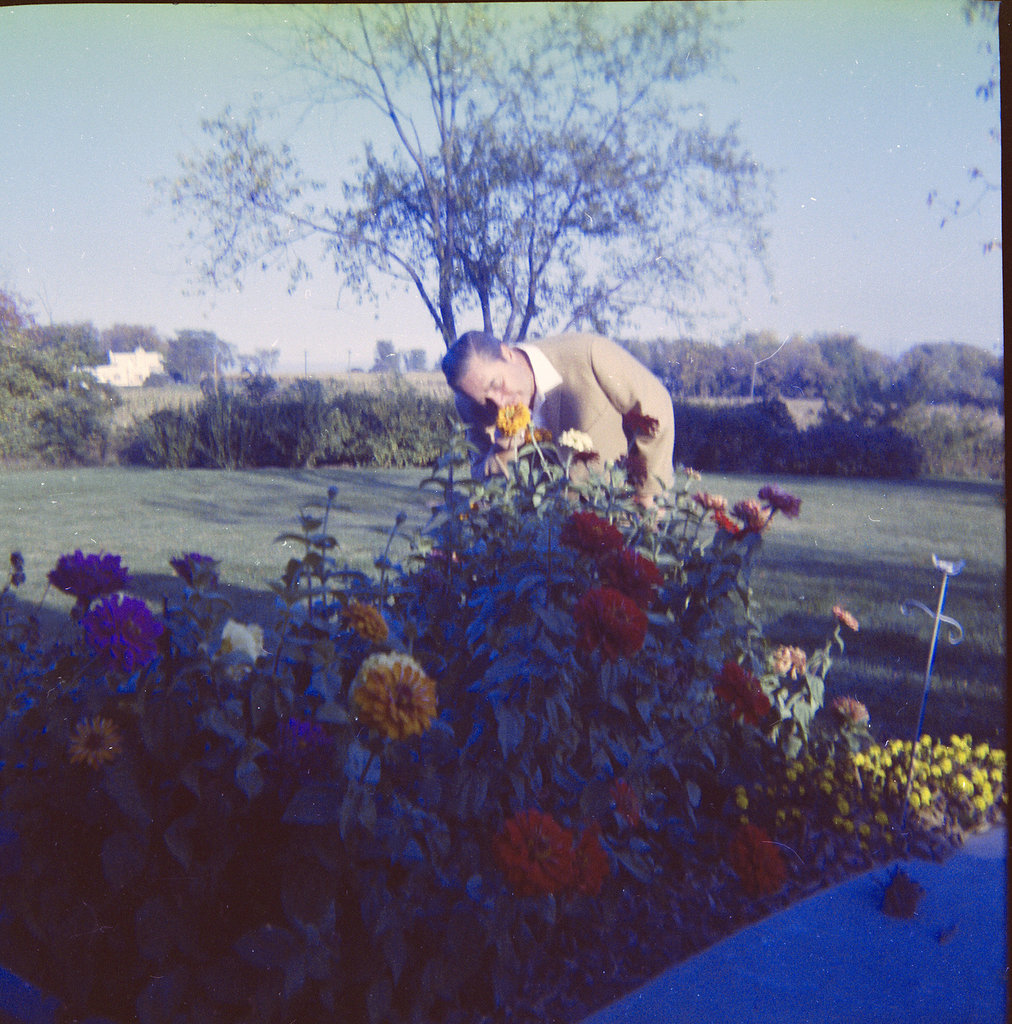 Dad takes time to smell the zinnias?