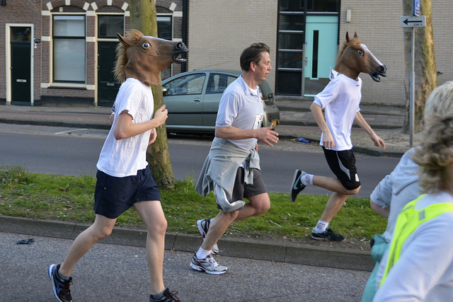 Singelloop 2013 – Horses