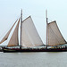 Sailing ship on the IJsselmeer