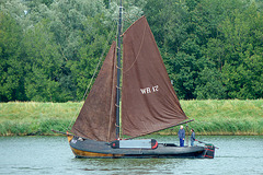 Sailing ship Wieringen-17 on the IJsselmeer