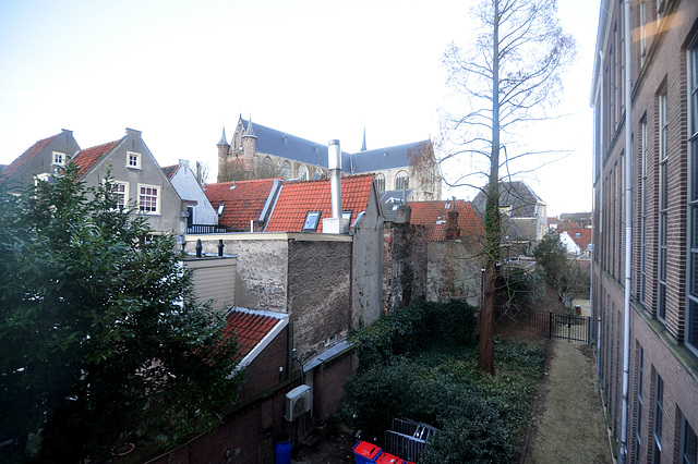 View from the Old Library of Leiden University