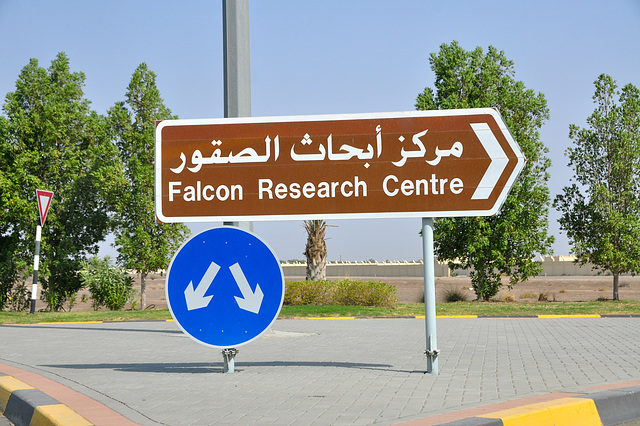 Dubai 2012 – Falcon Research Centre