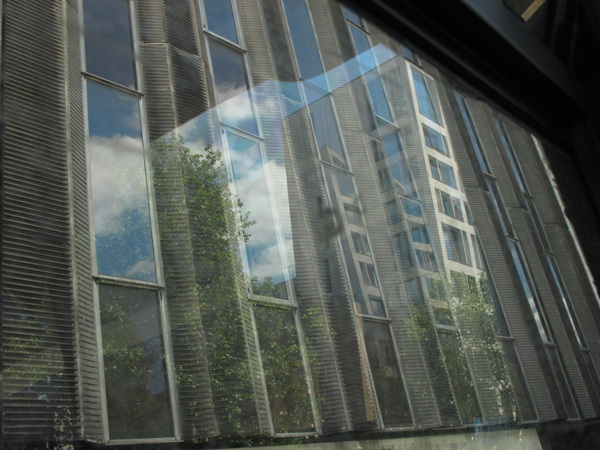 Euston Road from the bus