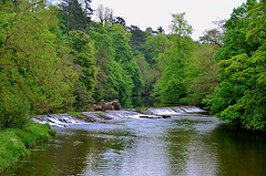 River Eden, Appleby