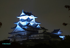Himeji Castle at night