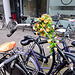 Bike Fashion – Flowers on the handlebar