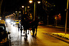 Horse and carriage and some cars
