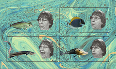 fish faces