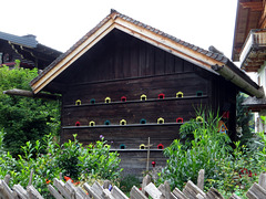 Vogel-Haus